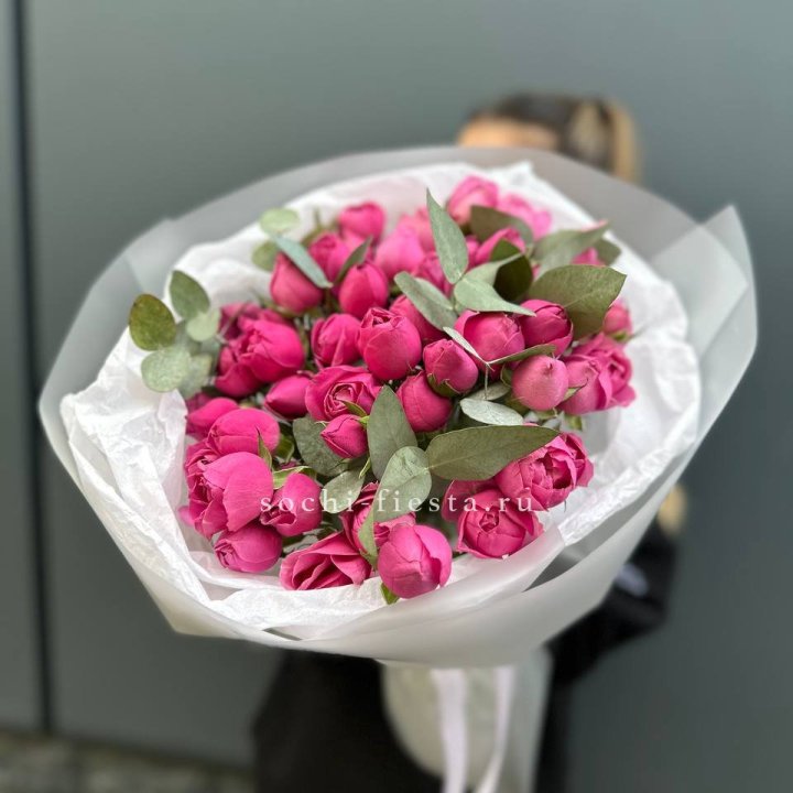 17 Мисти бабблс в Самаре