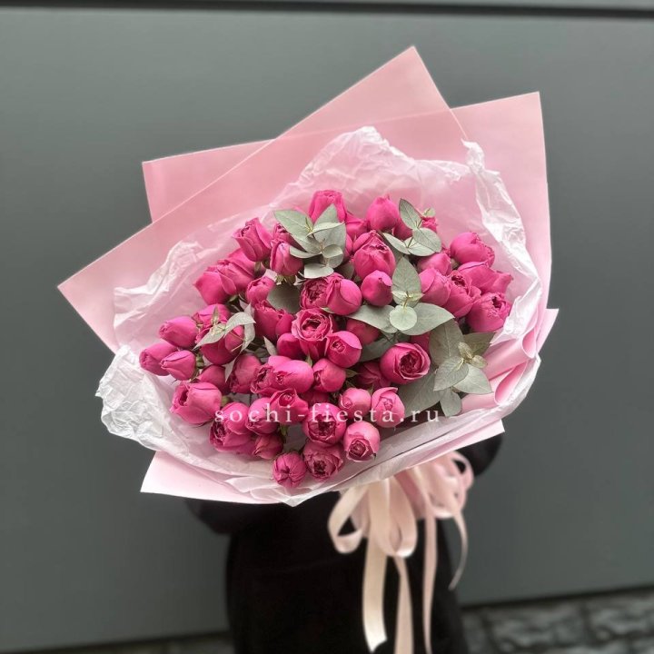 25 Мисти бабблс в Самаре