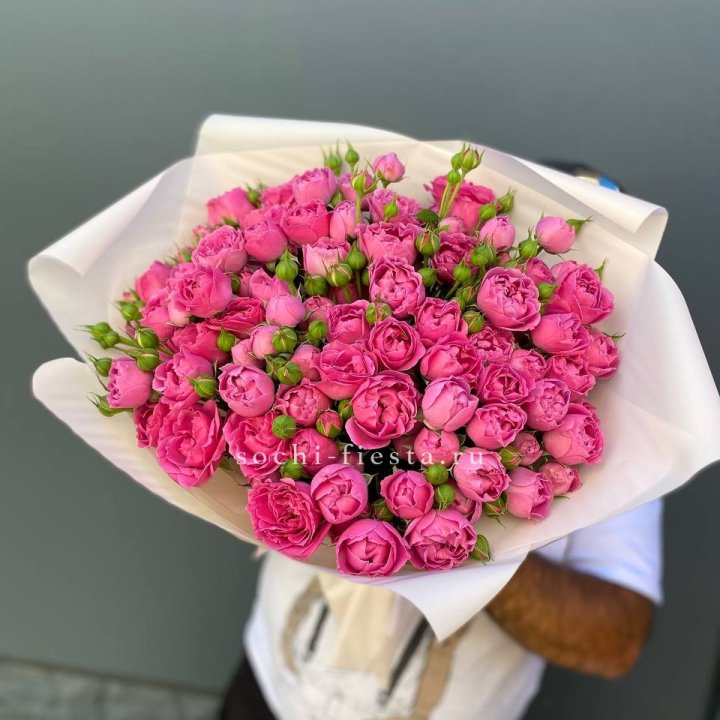 Мисти Баблс 35шт в Самаре