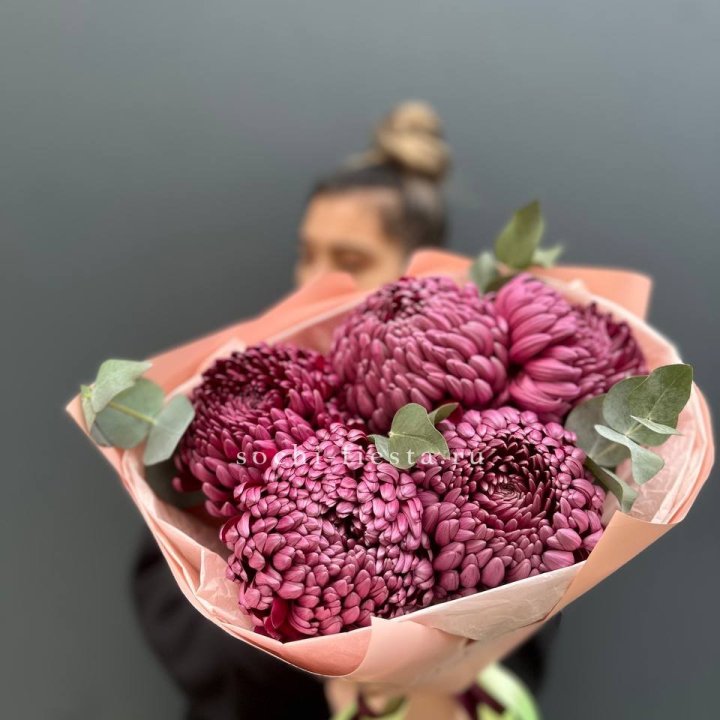 Хризантемы  Бигуди  в Самаре