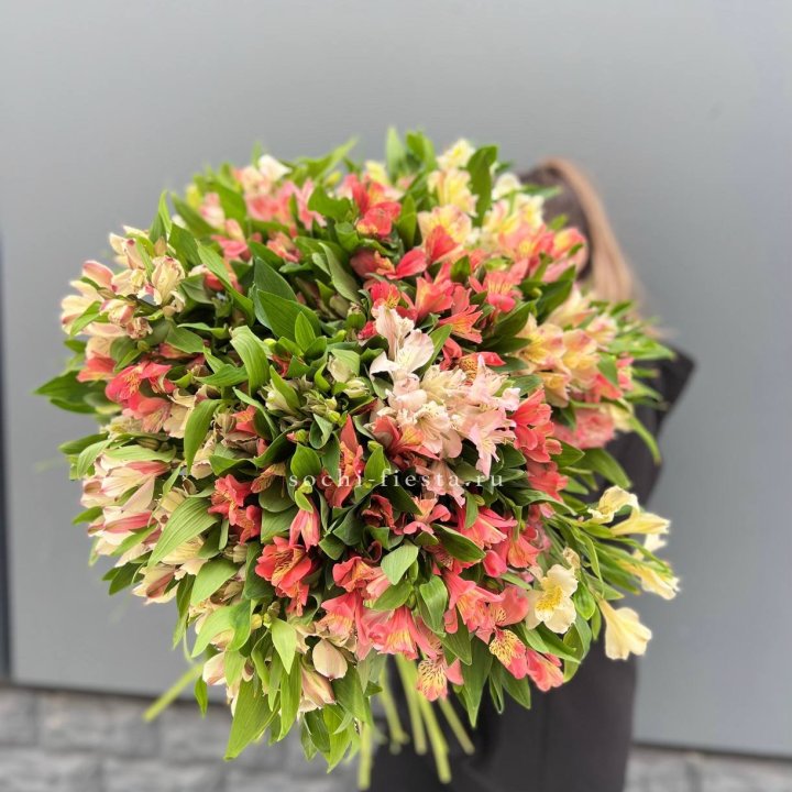 51 альстромерия в Самаре