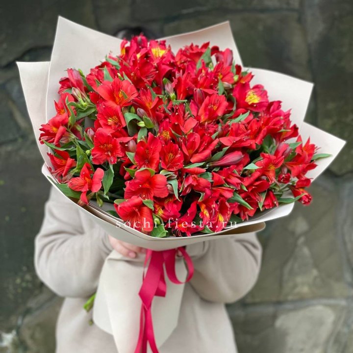 51 альстромерия в Самаре