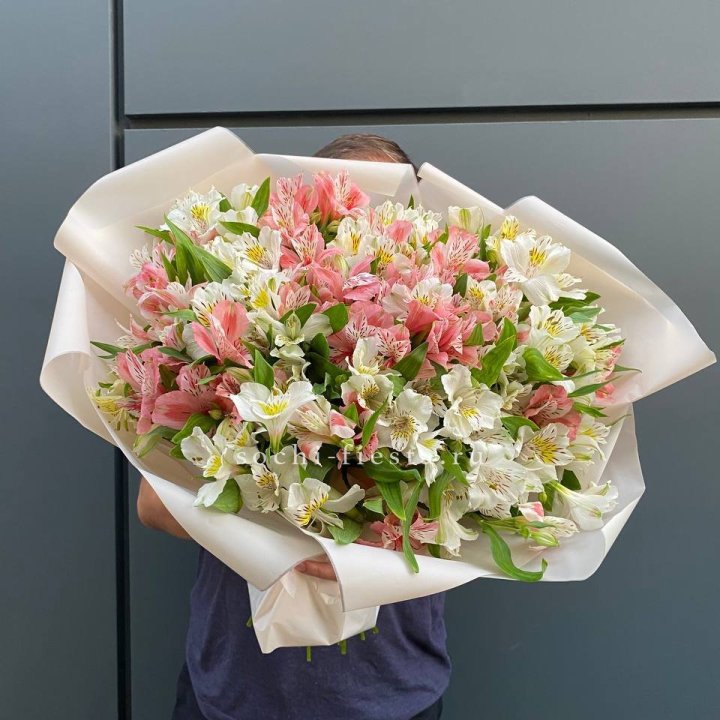 39 альстромерий в Самаре