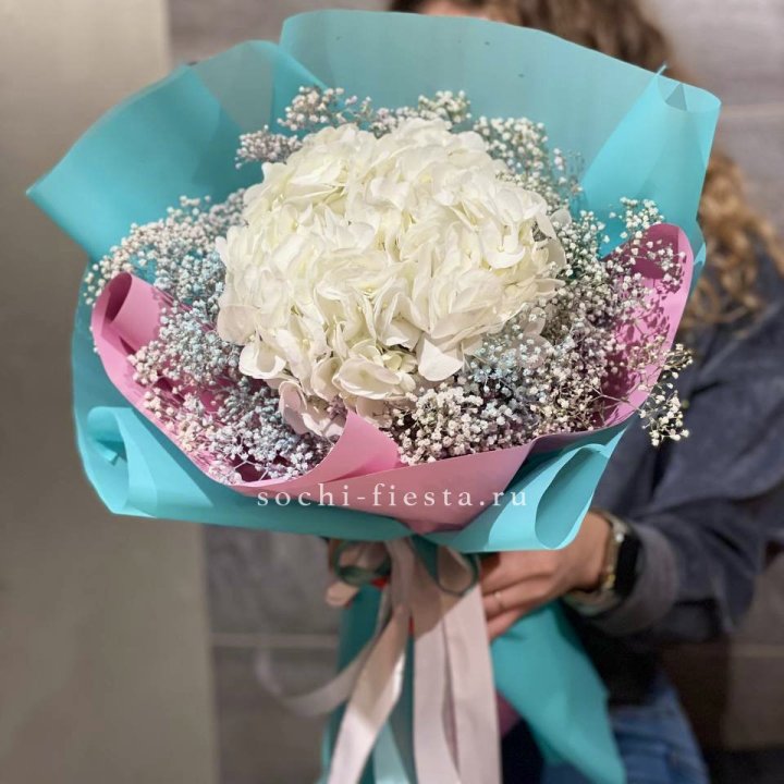 Гортензия "Райдов" в Самаре