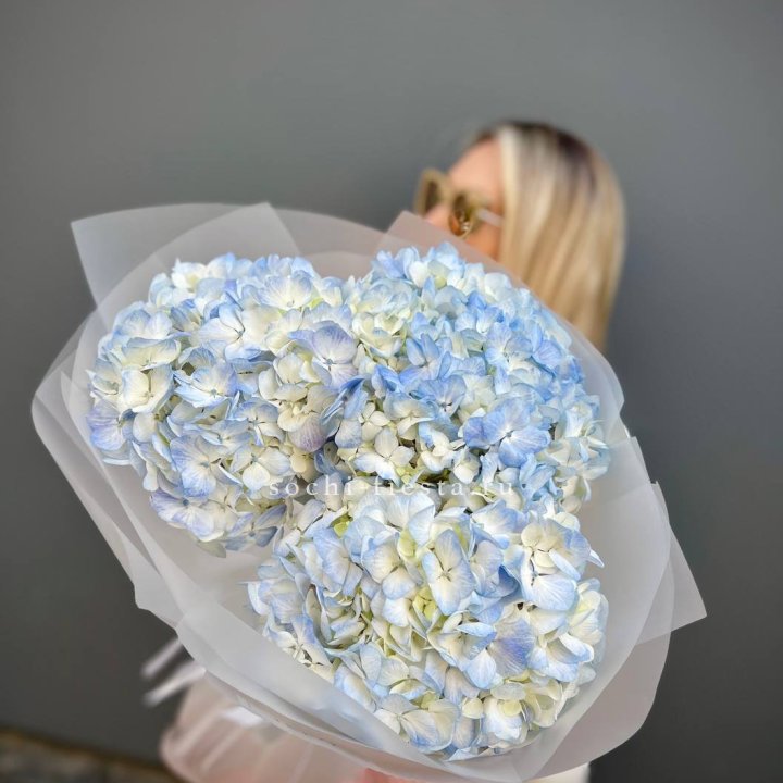 Букет из 3 голубых гортензий  в Самаре