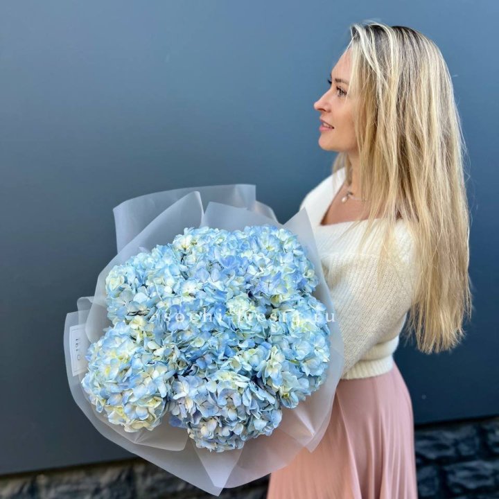 7 голубых гортензий в Самаре