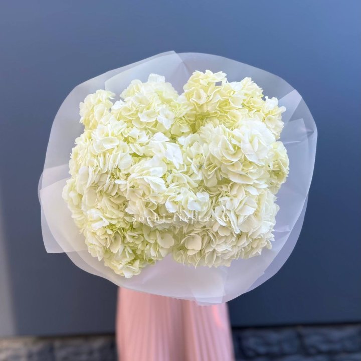 7 белых гортензий в Самаре