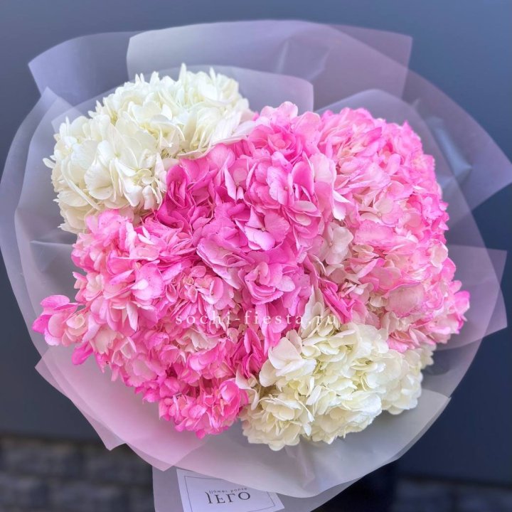 5 бело-розовых гортензий в Самаре