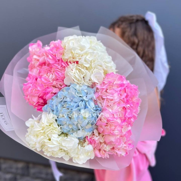 7 гортензий микс в Самаре