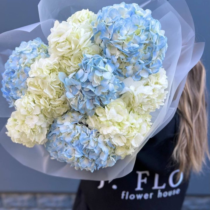 9 бело-голубых гортензий в Самаре