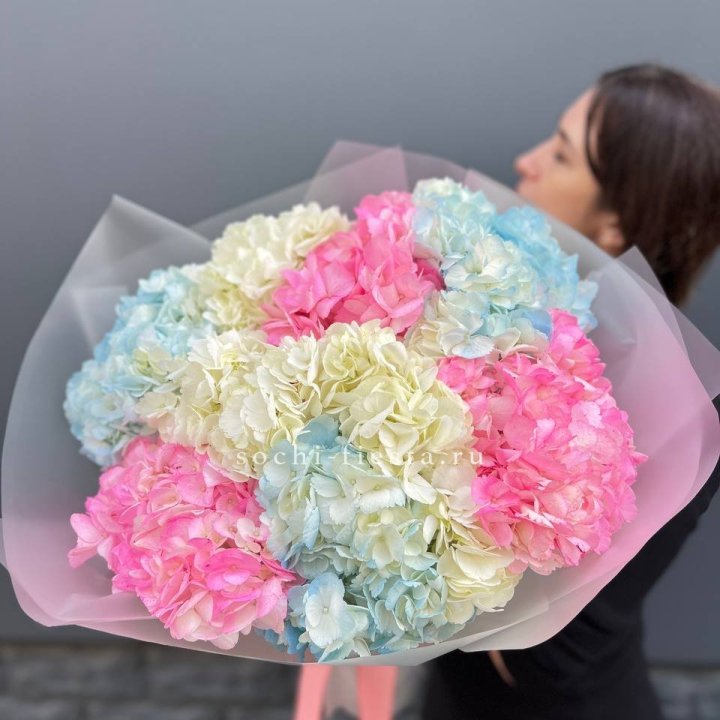 9 гортензий микс в Самаре