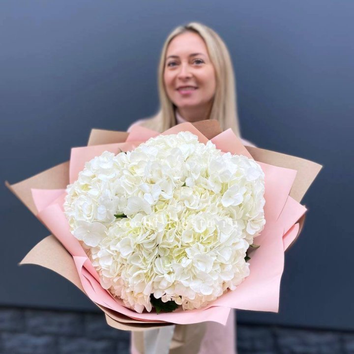 Гортензия белая в Самаре