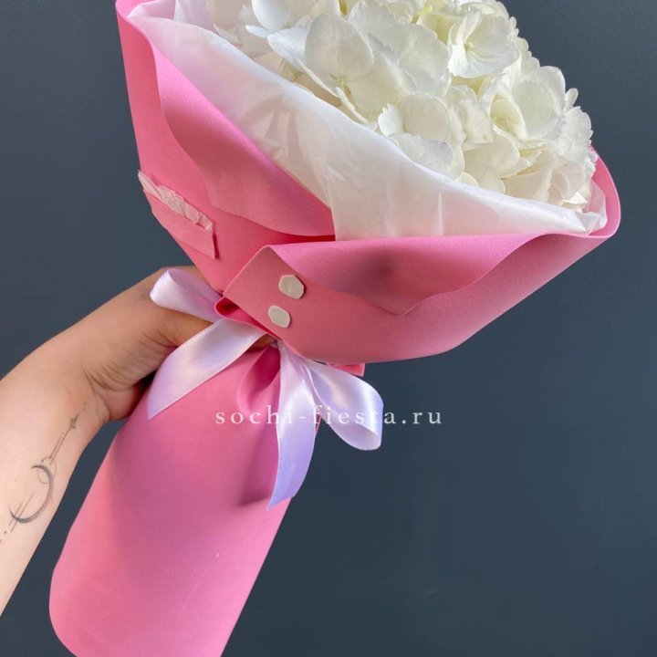 Гортензия в розовом пиджаке в Самаре