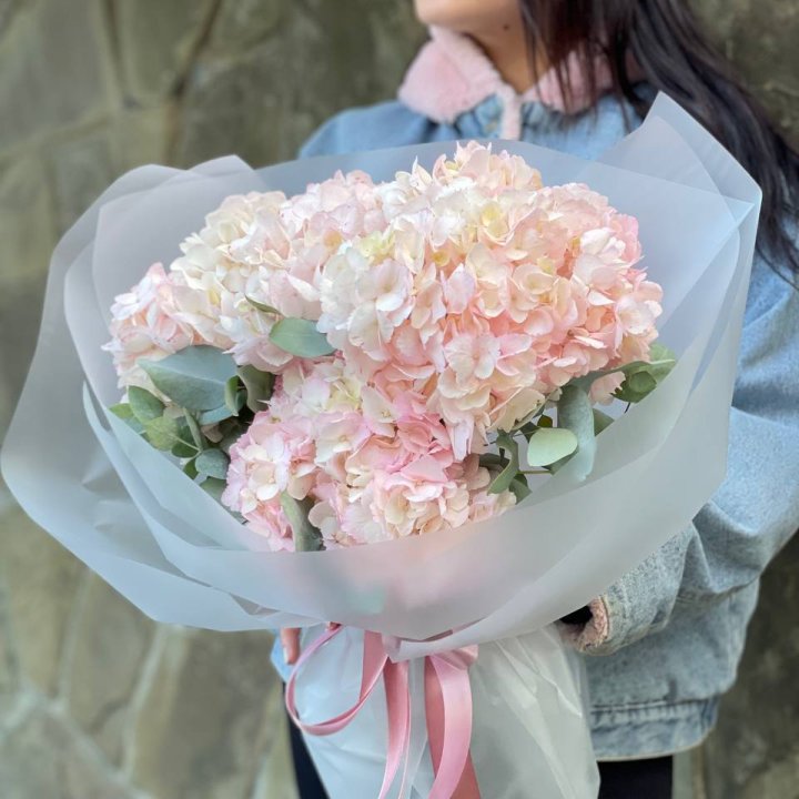 5 розовых гортензий в Самаре