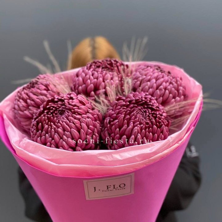 Хризантемы  Бигуди с стифой в Самаре