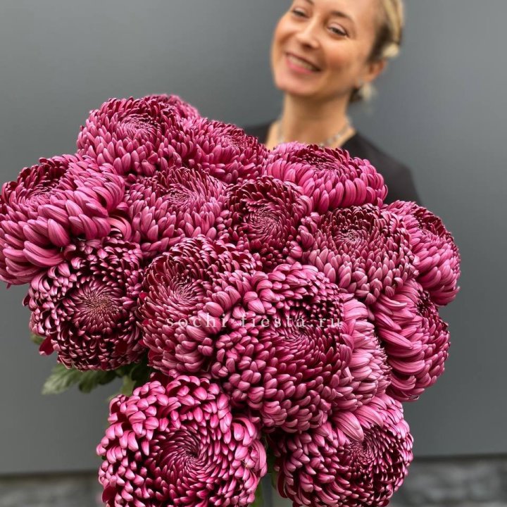 Охапка хризантем Бигуди в Самаре
