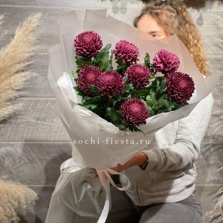 Хризантемы Бигуди в Самаре