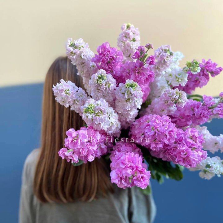 Охапка маттиолы в Самаре