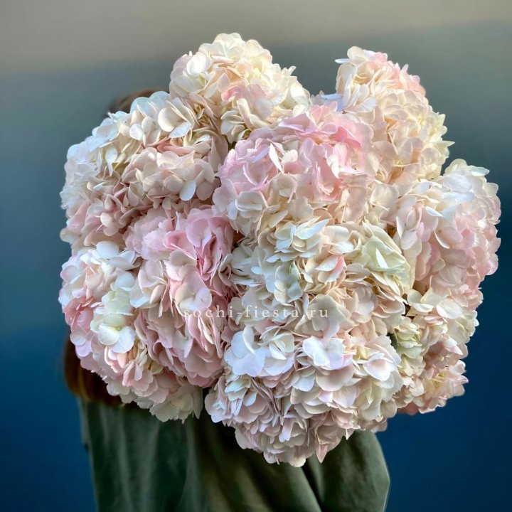 Охапка розовой гортензии в Самаре