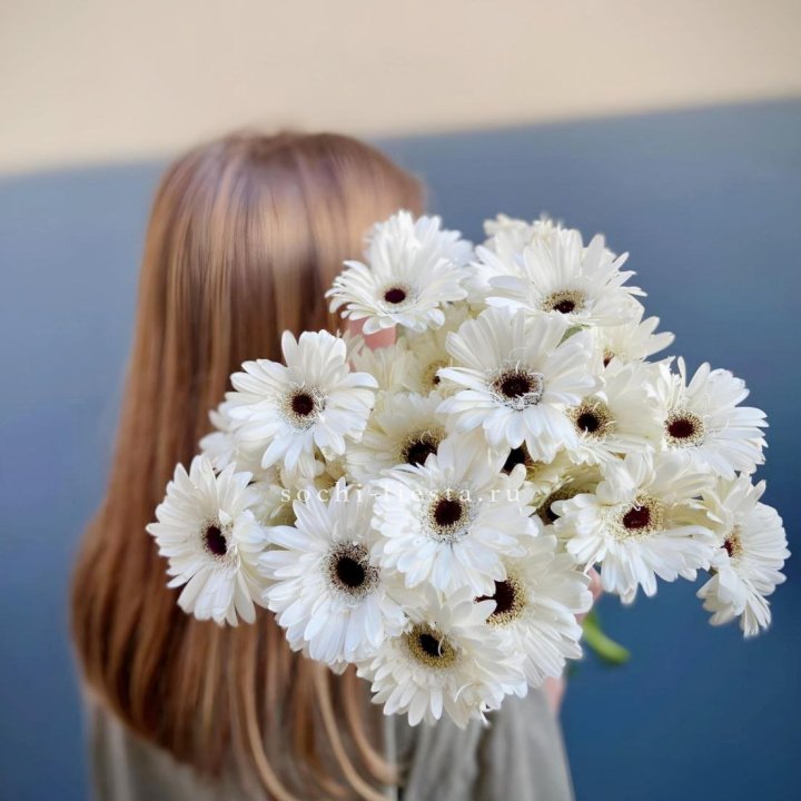 Охапка гербер в Самаре