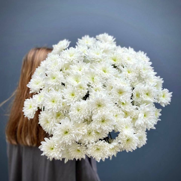 Охапка Хризантемы кустовой в Самаре