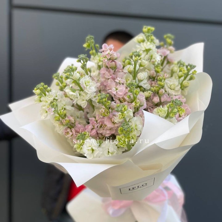 29 маттиол  в Самаре