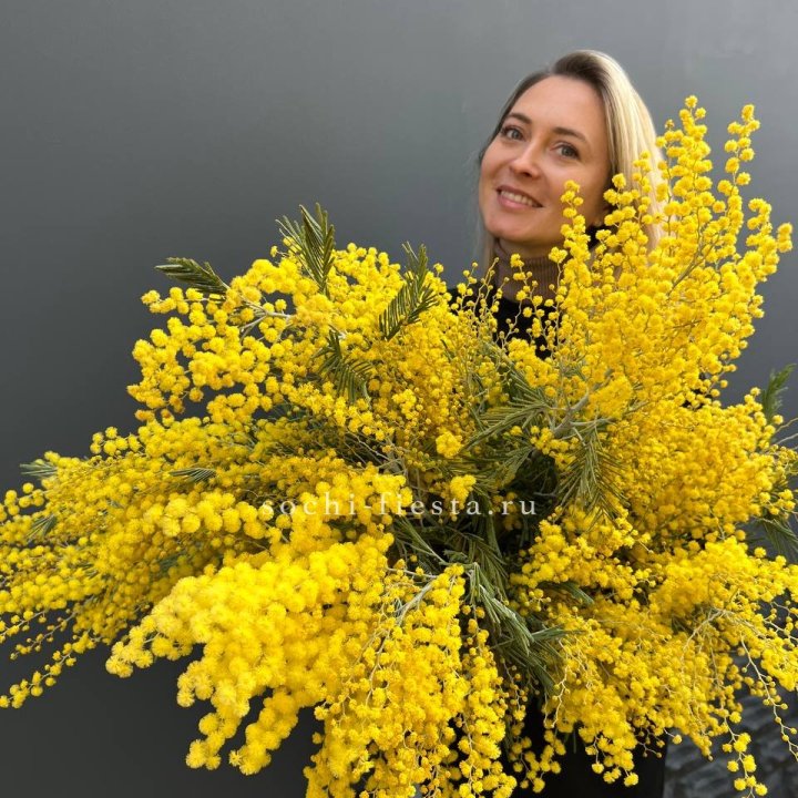 Охапка мимозы №2 в Самаре