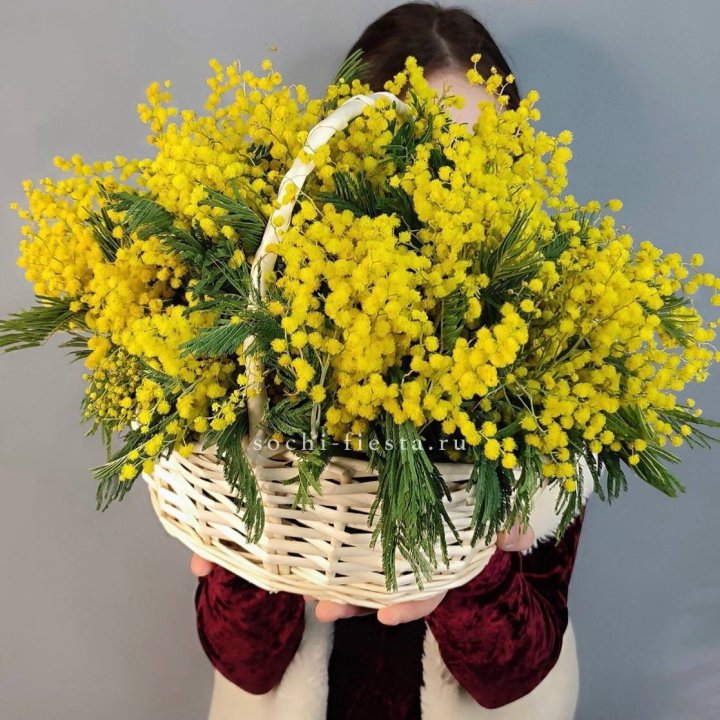 Корзина ароматной мимозы в Самаре