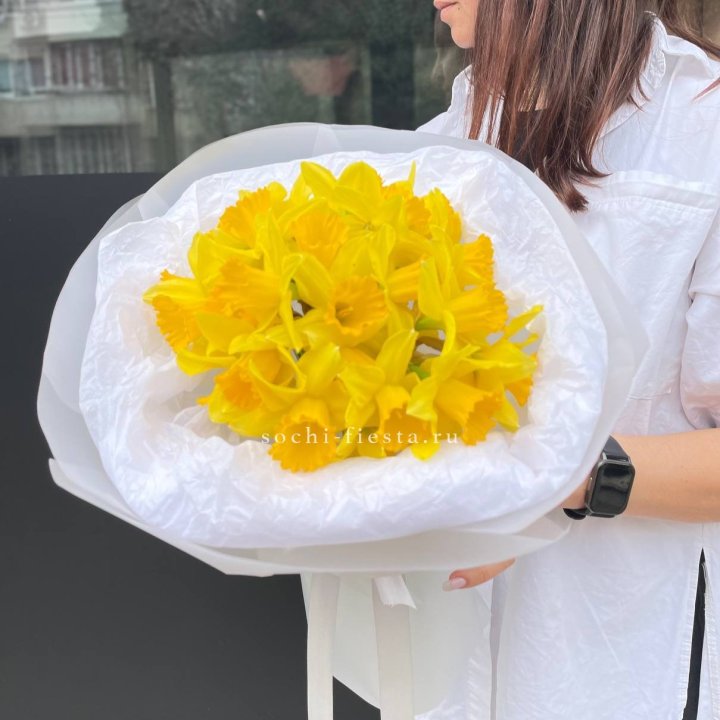 Нарциссы 25 шт в Самаре