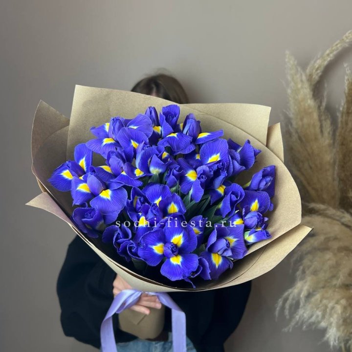 Ирисы в Самаре