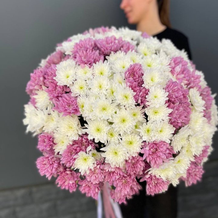  Букет 25 хризантем микс в Самаре