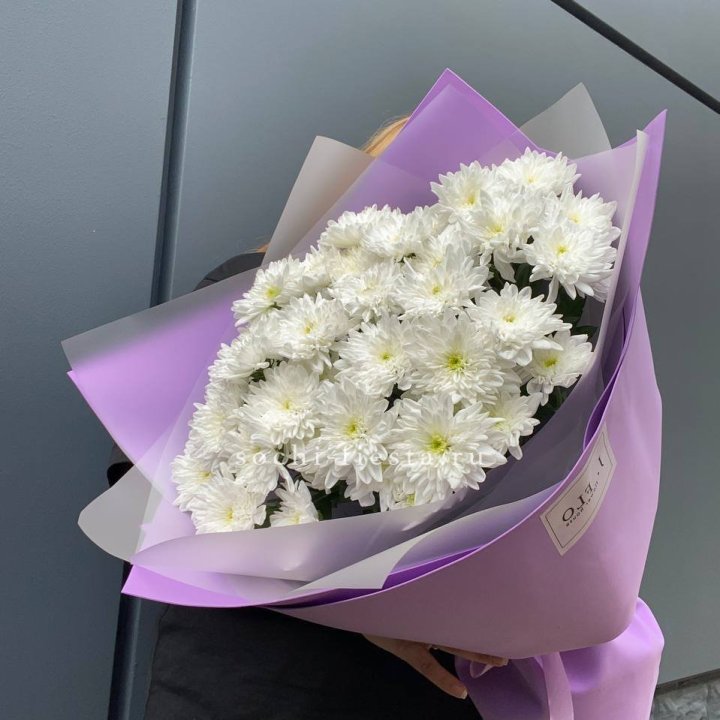  7 хризантем  в Самаре