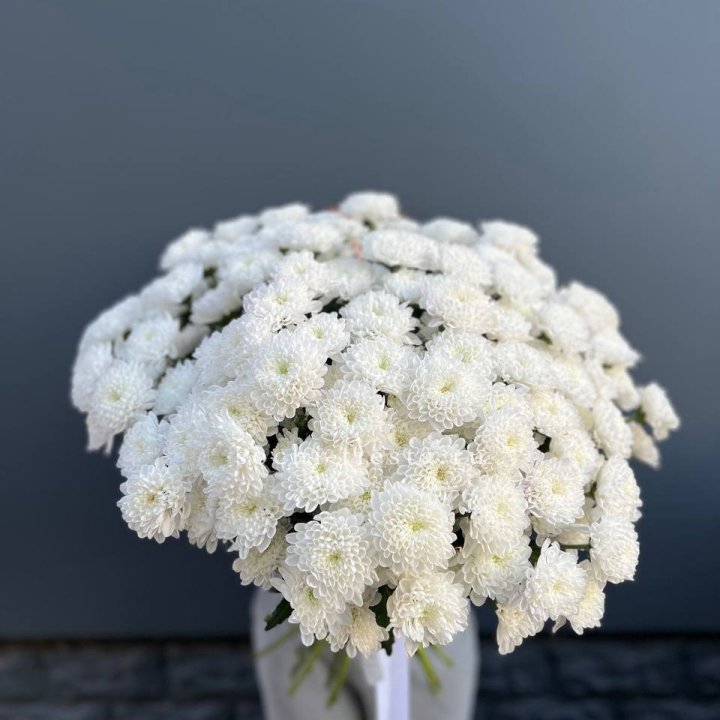  25 хризантем белых в Самаре