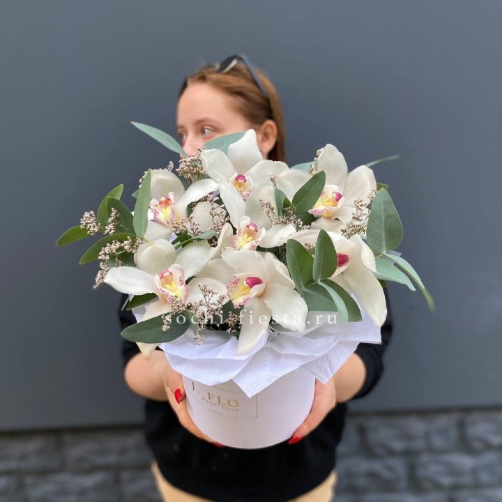 7 орхидей в боксе в Самаре