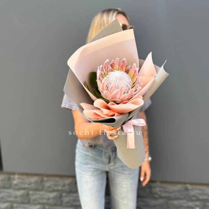 Протея мини  в Самаре