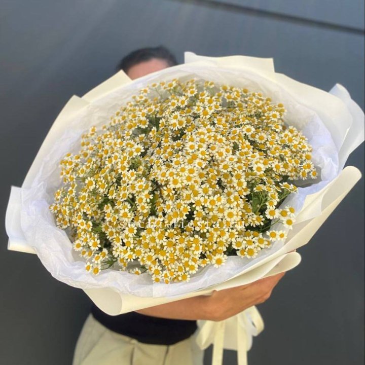 Букет ромашек №2 в Самаре