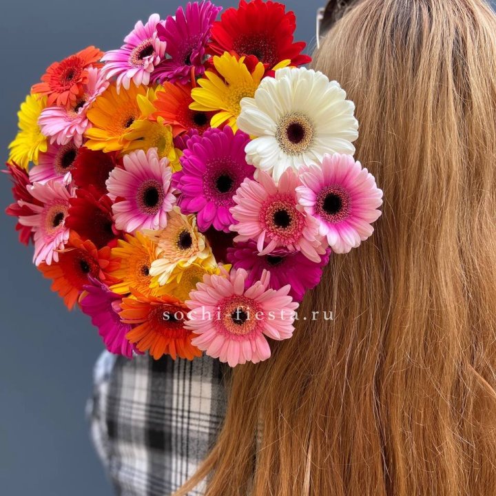 Охапка гербер  в Самаре