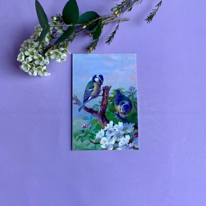 Открытка к букету "Птицы" в Самаре