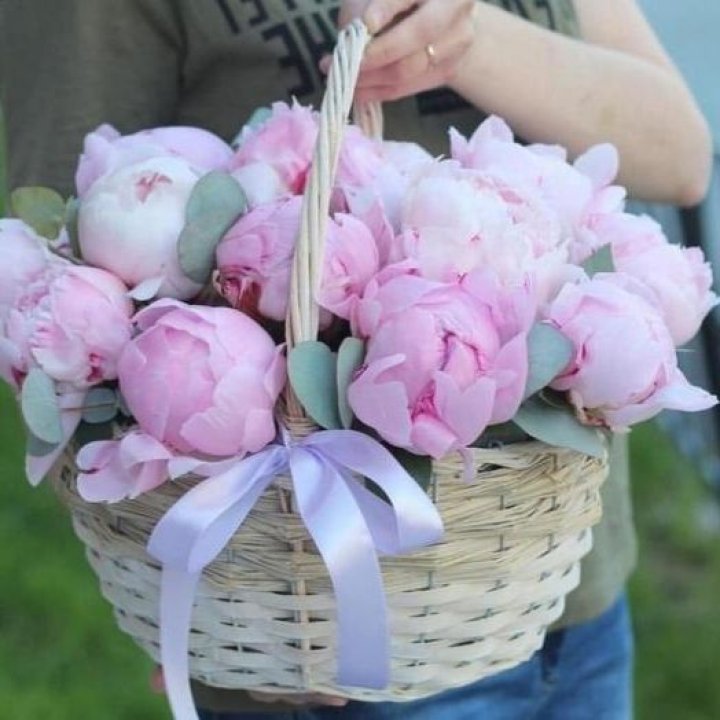 15 пионов в корзине в Самаре