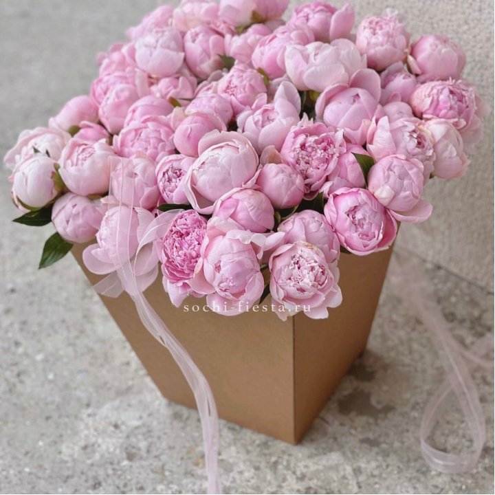 49 пионов в крафт коробке в Самаре