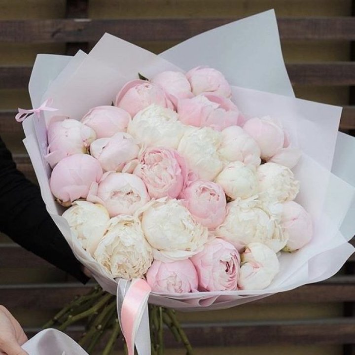 29 пионов в Самаре