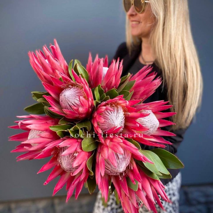 Протея штучно в Самаре