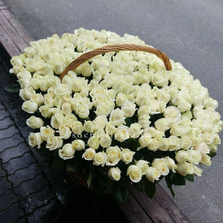 303 розы в корзине в Самаре