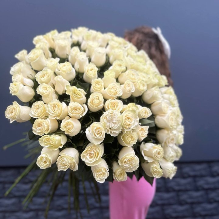 101 белая высокая импортная роза под ленту в Самаре