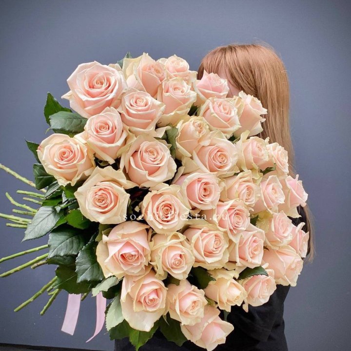 35 кремовых высоких роз в Самаре