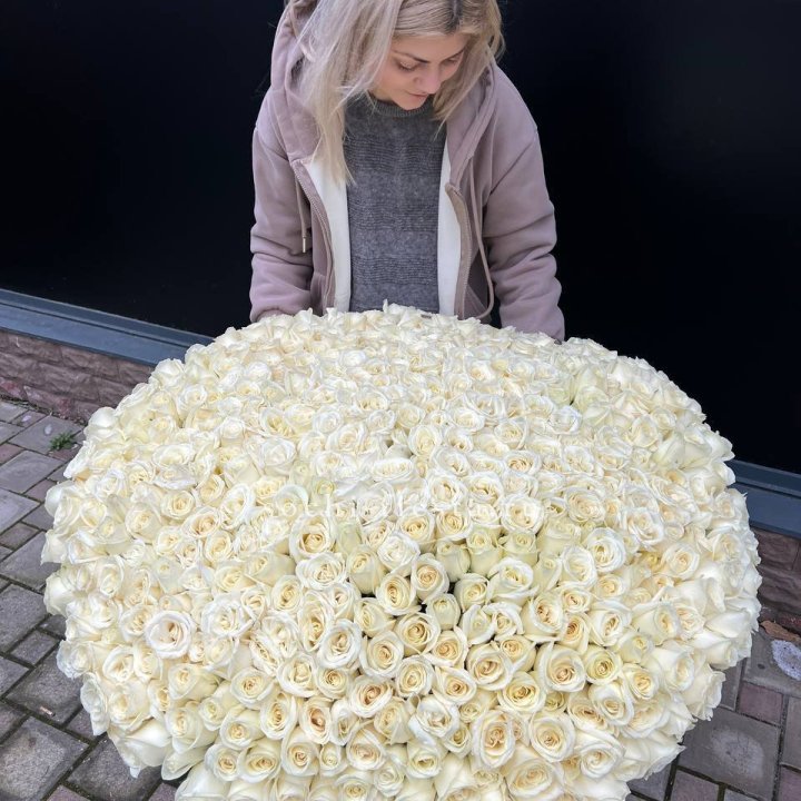 501 белая роза в корзине в Самаре