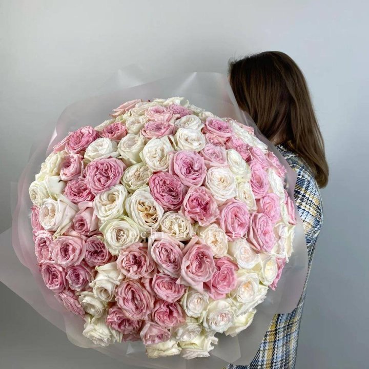 101 роз Охара в Самаре