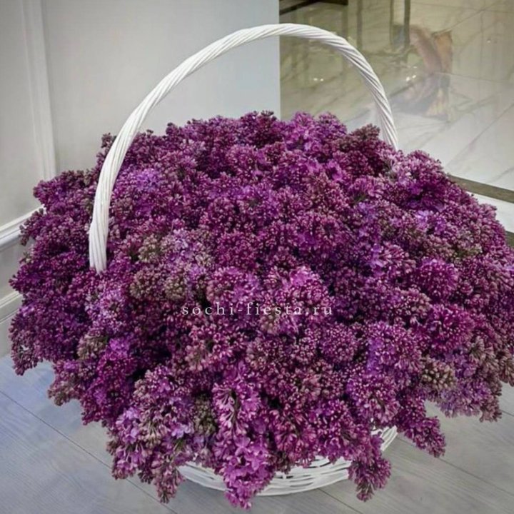 Корзина сирени в Самаре