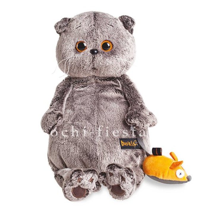 Кот Басик с мышкой в Самаре