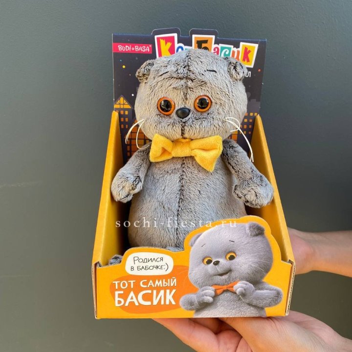 Кот Басик с бабочкой в Самаре